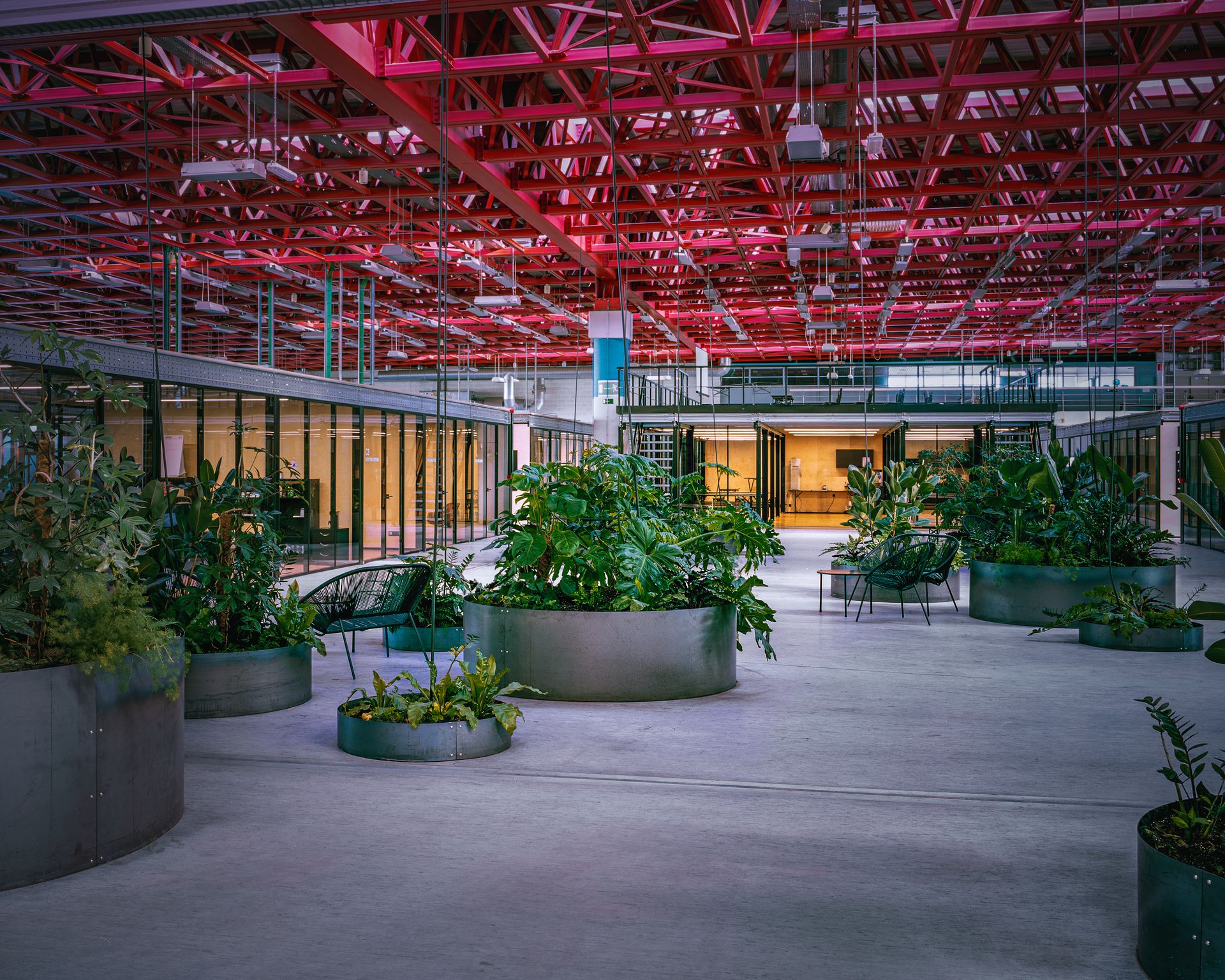 Photo horizontale intérieur de A6K avec vue sur les espaces de bureaux, les plantes et le plafond rouge